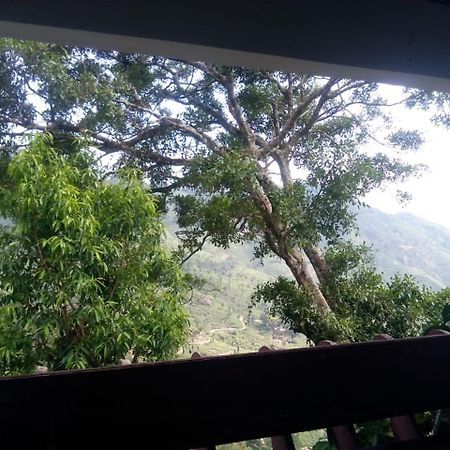 Holly Hock Bed & Breakfast Munnar Bagian luar foto